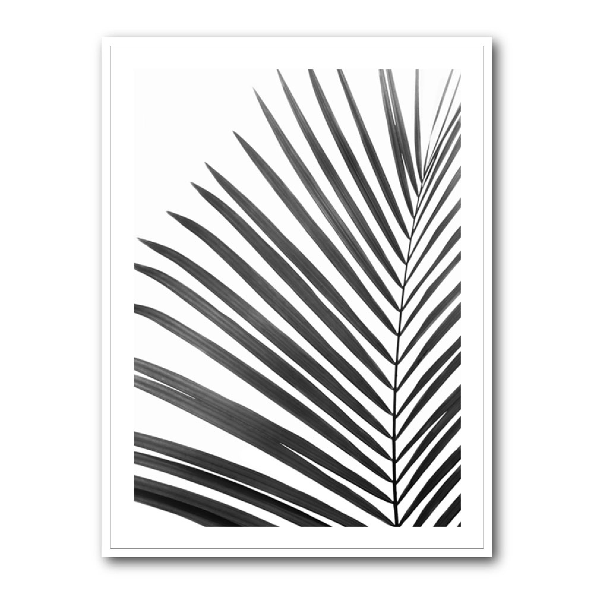 BW Palm Leaf Wall Art